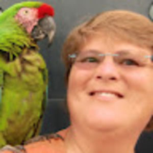 Meet your Posher, Joann